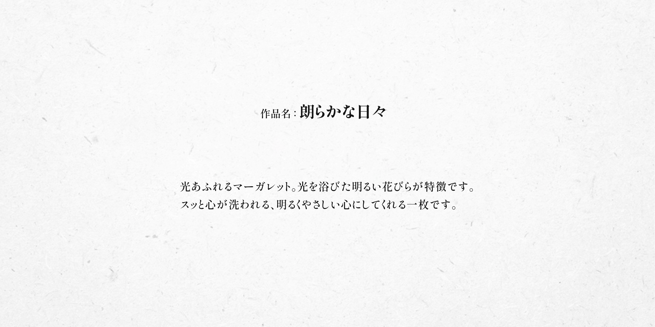 朗らかな日々